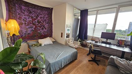 Rental home on Industriestraat in Delft