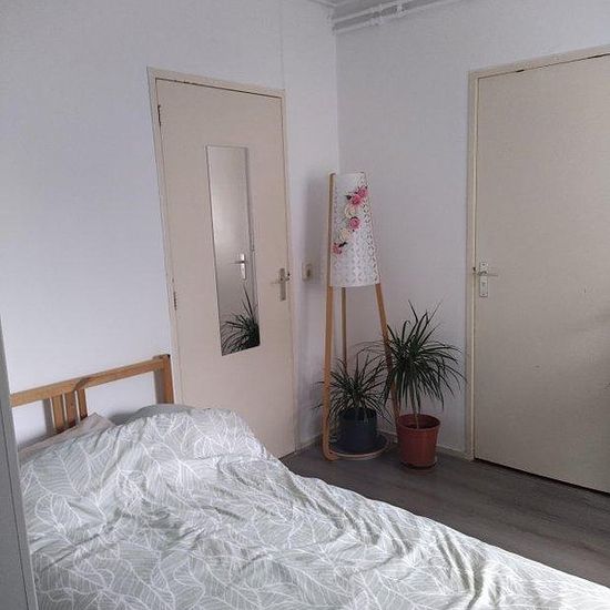 Rental home on Puntkroos 22 in Zwolle